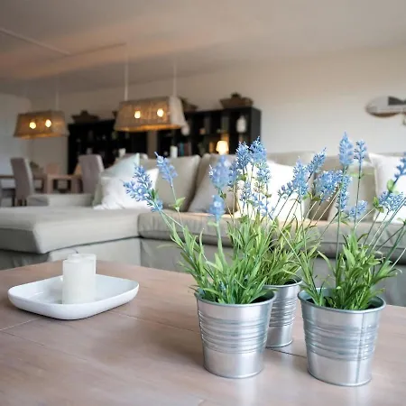 Sea View In With Balcony Apartment